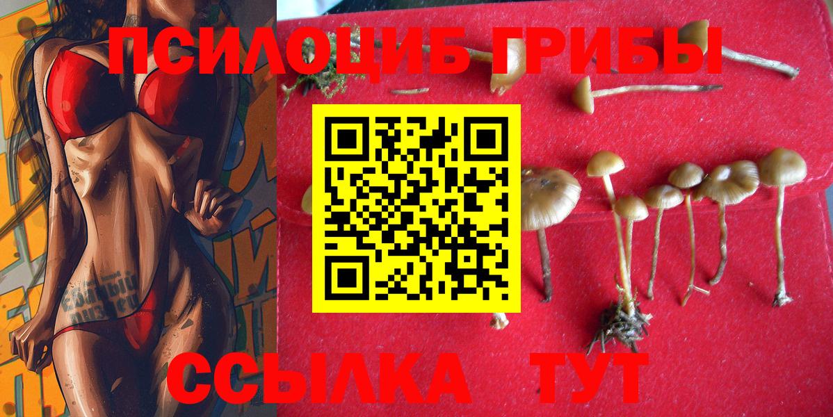 Псилоцибиновые грибы Cubensis  Вход с VPN  Псилоцибиновые грибы ЛСД  Нижневартовск 